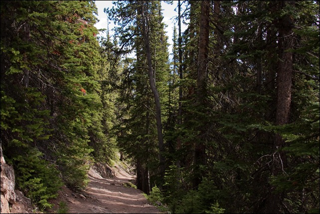 2010 07 Sulphur Mtn Banff  (45 of 105)