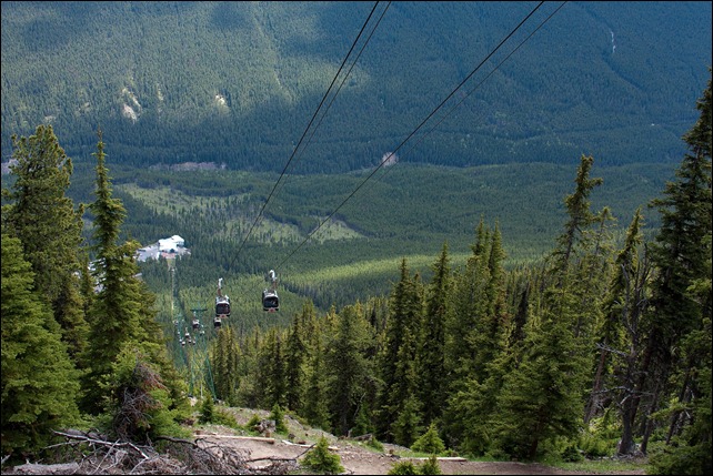 2010 07 Sulphur Mtn Banff  (63 of 105)