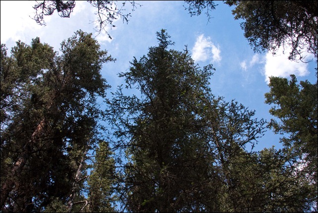 2010 07 Johnson Canyon  (23)