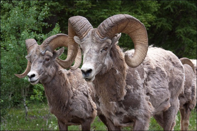 2010 07 Johnson Canyon (39) 2010 07 Johnson Canyon (39)