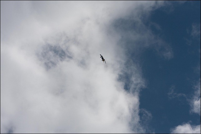 05 17 2009 Duxford Air Show  (168)