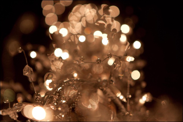 2010 12 23 Christmas_-2