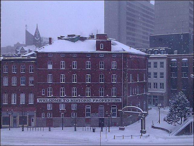 Halifax Blizzard