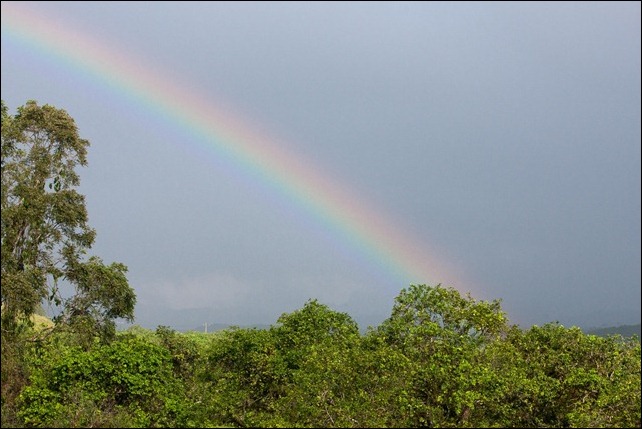 2011 03 17 Mayan Ruins_-6