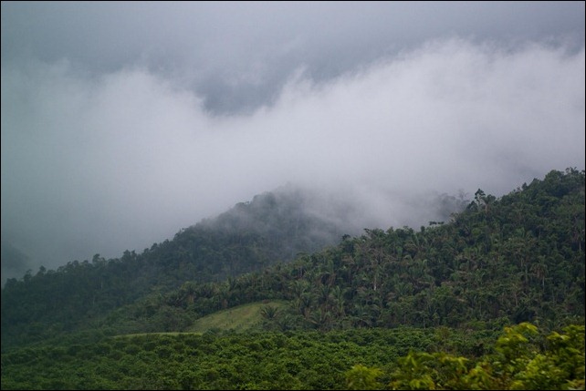 2011 03 17 Mayan Ruins_-9