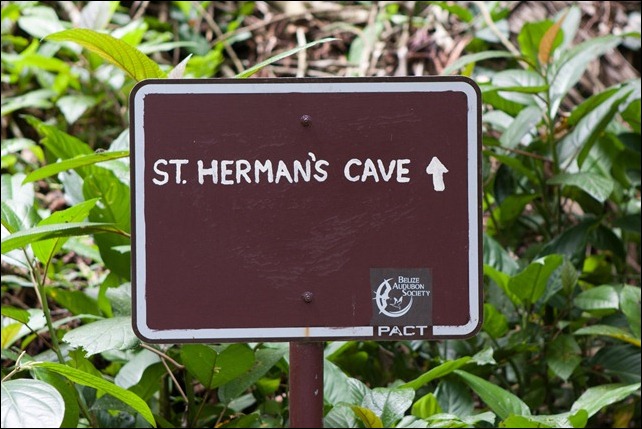 2011 03 19 St Hermans Cave_-1