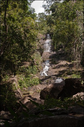 2011 03 21 Bocawina Mayflower Park-23