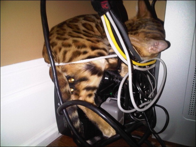 2010 Kipling Sleeping