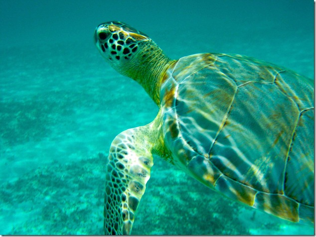 2011 08 18 Mexico  _-19