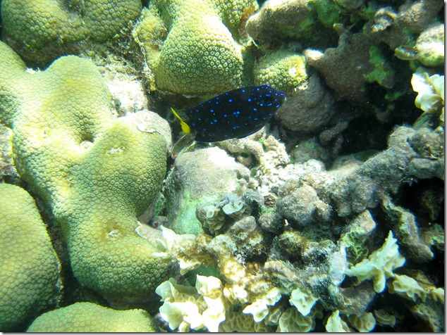 2011 08 19 Mexico  _-5