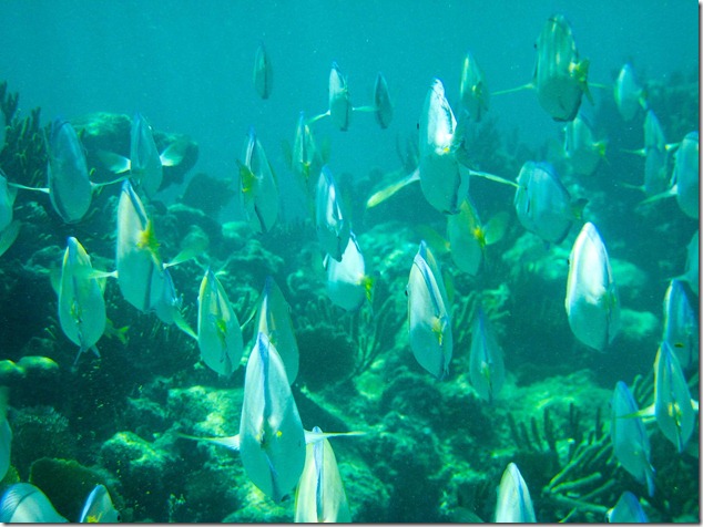 2011 08 19 Mexico  _-8