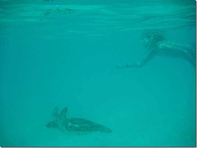 2011 08 19 Mexico  _