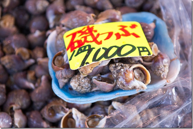 2012 07 29 Tsukiji Fish Market_-60