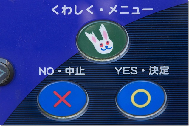 2012 07 29 Tsukiji Fish Market_-66