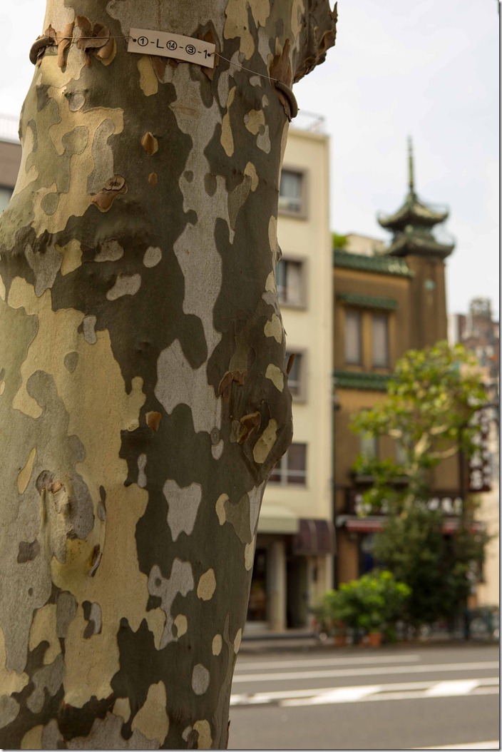 2012 08 09 Kappabashi _-52