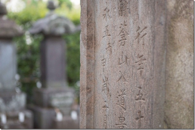 2012 08 25 Awaodori _-72