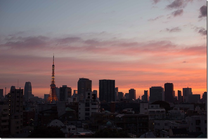 2012 10 30 Tokyo Skyline _-4
