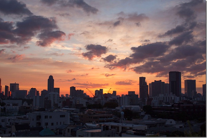 2012 10 30 Tokyo Skyline _-5