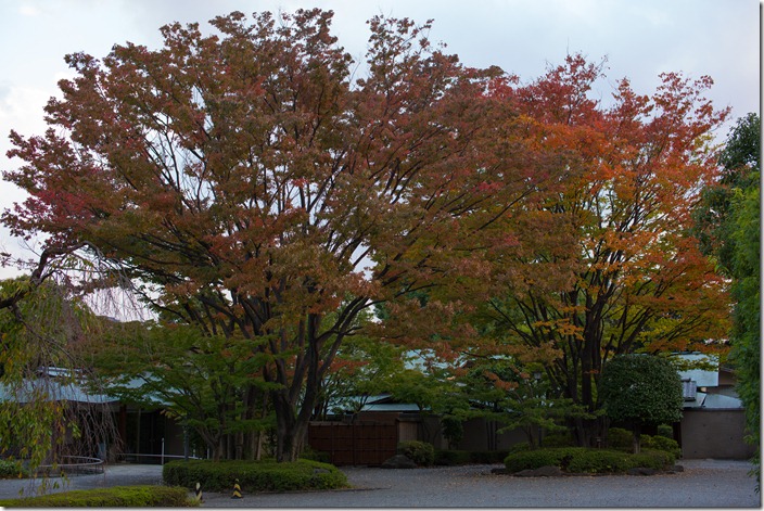 2012 10 31 Unknown place _-5