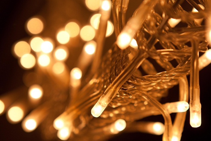 2010 12 19 Christmas_-1