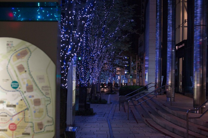 2012 11 13 Tokyo_-10