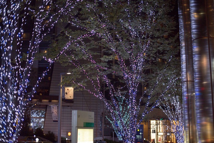 2012 11 13 Tokyo_-11