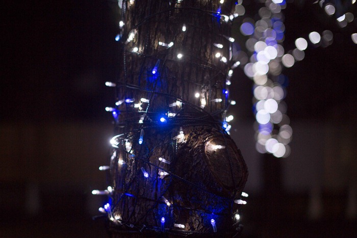 2012 11 13 Tokyo_-12