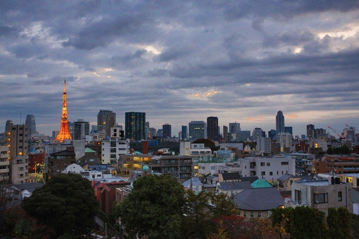 2012 11 19 Tokyo Skyline_-6