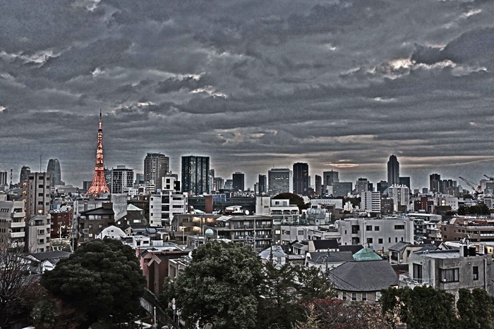 2012 11 19 Tokyo Skyline_-8