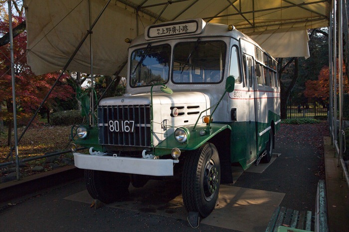 2012 11 24 Open Air museum_-17