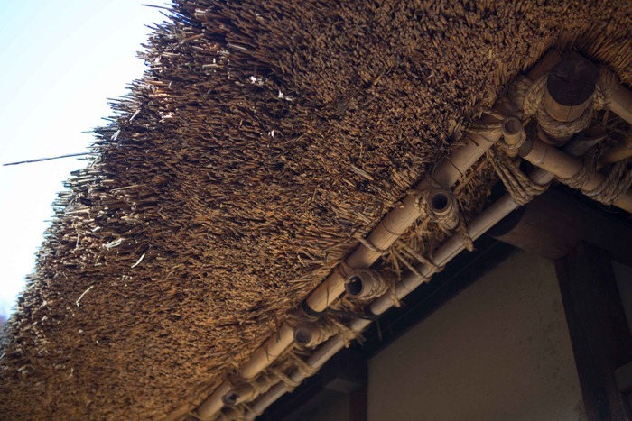 2012 11 24 Open Air museum_-31