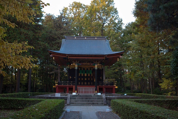 2012 11 24 Open Air museum_-3