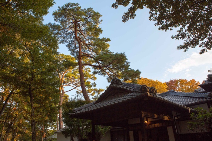 2012 11 24 Open Air museum_-47