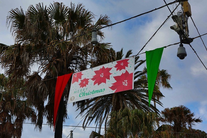 2012 12 18 Manly beach_-4