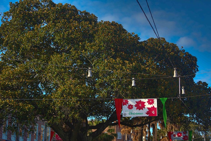 2012 12 19 on Manly beach_-6