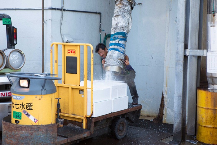 2012 07 29 Tsukiji Fish Market_-79