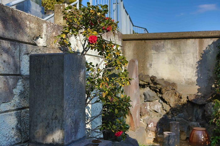 2013 02 23_-12 2013 02 23_-12