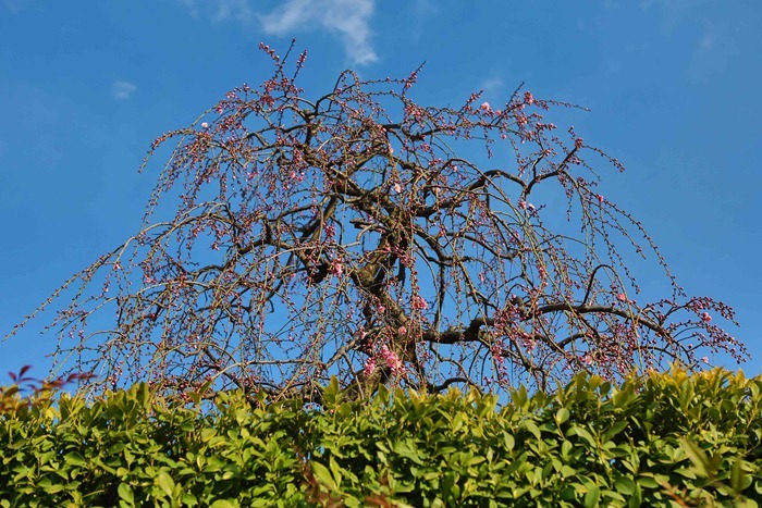 2013 02 23_-14 2013 02 23_-14