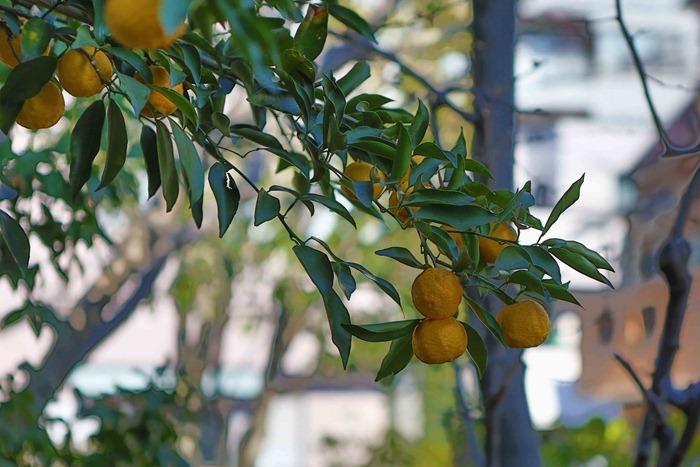 2013 02 23_ 2013 02 23_