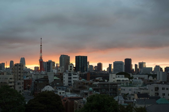 2012 07 30 Tokyo Skyline _-28