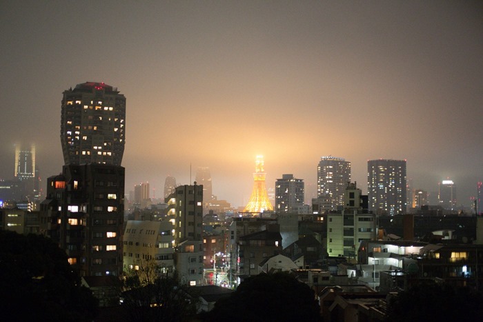 2012 10 28 Tokyo Skyline _-6