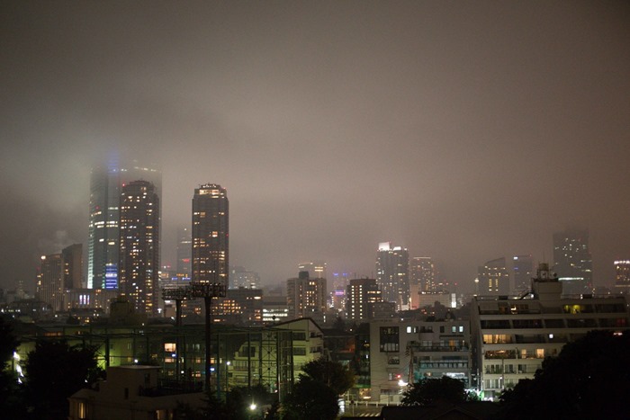 2012 10 28 Tokyo Skyline _-7