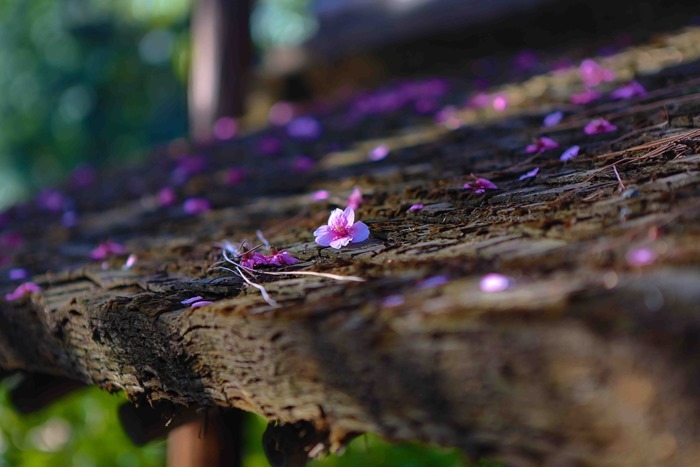 2013 03 12 Happoen_-17