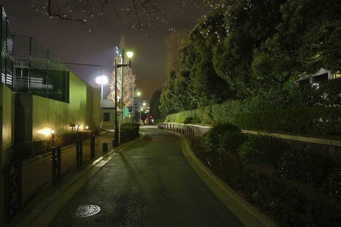 2013 03 19 Tokyo_-14