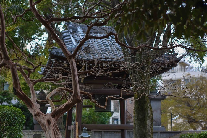 2013 03 20 cemetary-28