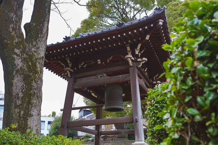 2013 03 20 cemetary-32