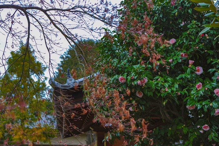 2013 03 20 cemetary-33