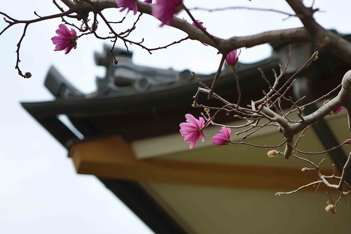 2013 03 20 cemetary-35