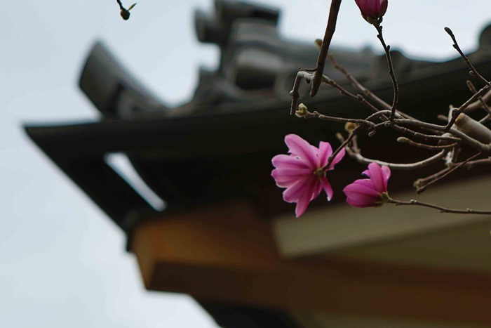 2013 03 20 cemetary-36