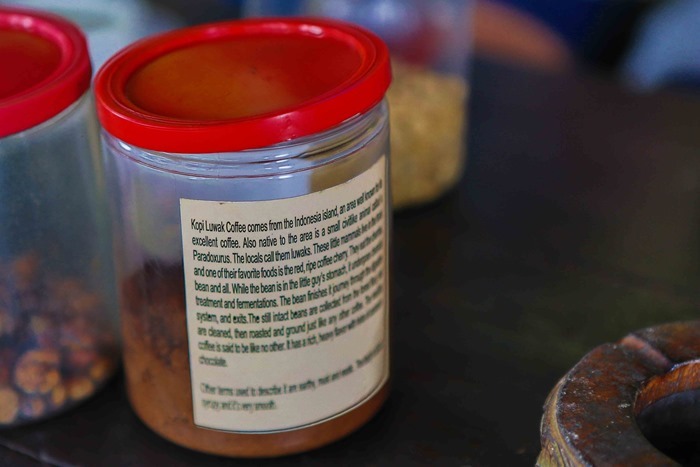 2013 03 24 Luwak Civet Coffee _-56